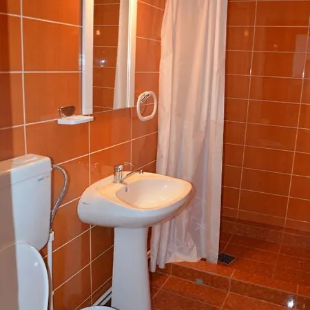 Pensiune Vila Pinica