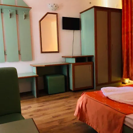 Guest house Vila Pinica Costinesti